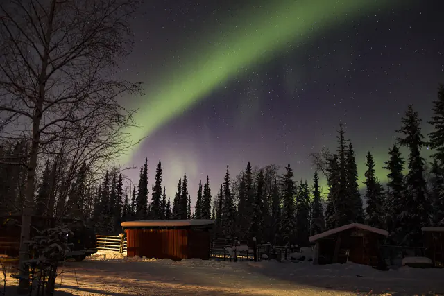 Aurora borealis in the night sky above Alaska