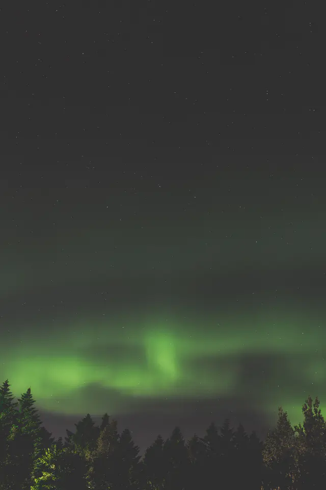 Aurora borealis in the night sky above Iceland