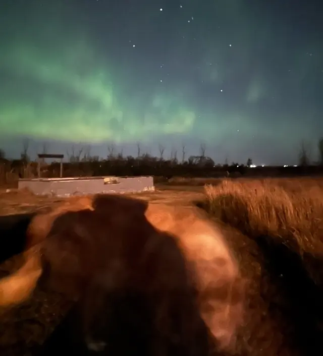 Aurora borealis in the night sky above Canada
