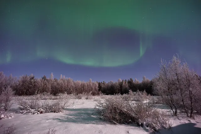 Aurora borealis in the night sky above Finland