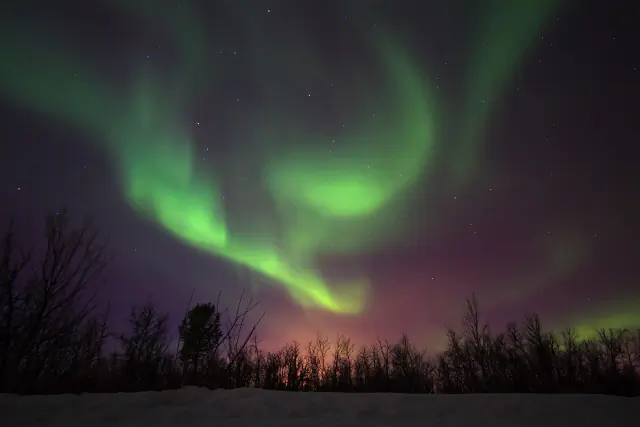 Aurora borealis in the night sky above Greenland