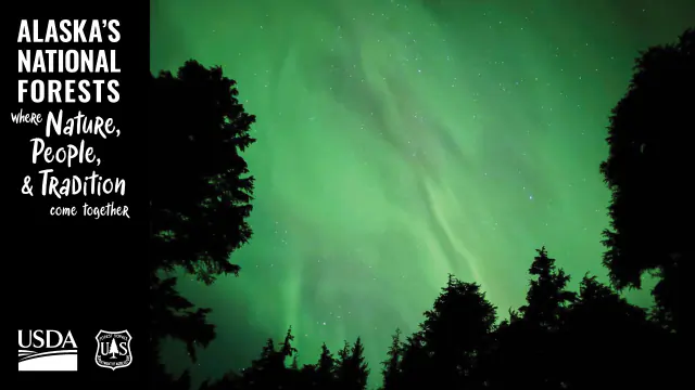 Aurora borealis in the night sky above Alaska