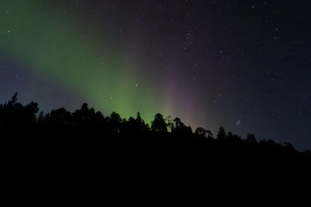 Aurora borealis in the night sky above New Zealand